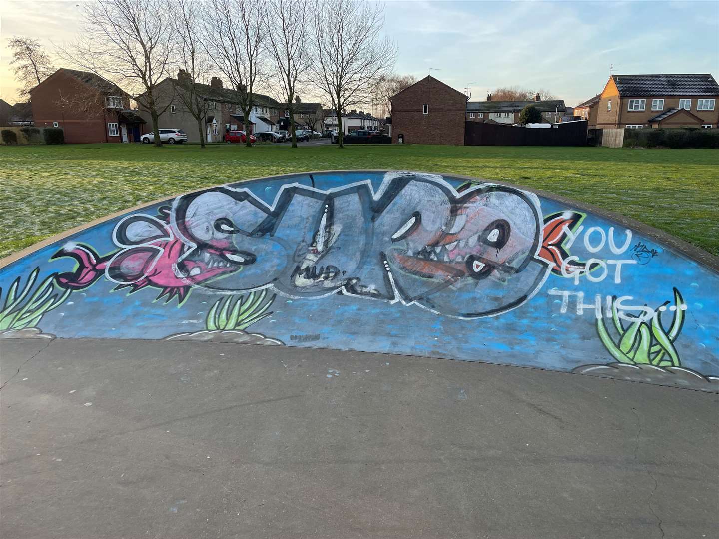 The St Paul's skate park fish mural has been defaced