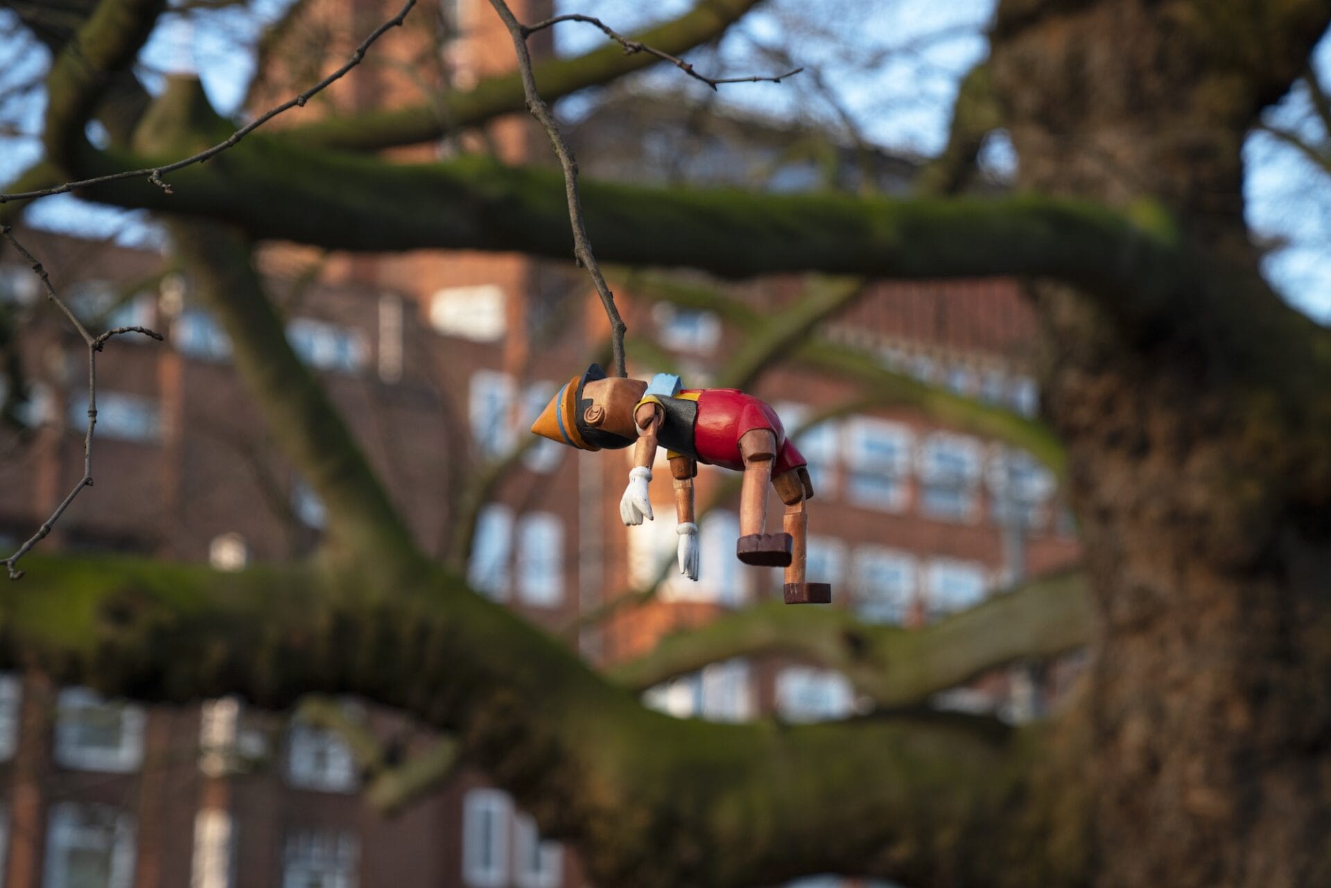 A wooden sculpture of Pinocchio hangs from a tree branch as if his nose has grown so long it is an entire tree.