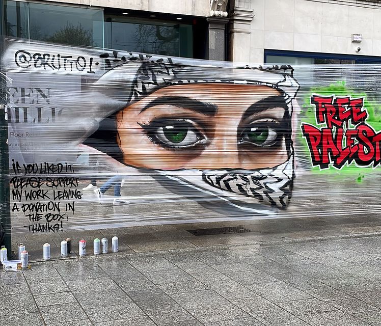 The temporary artwork is created on a cling film canvas attached between lampposts in Dublin