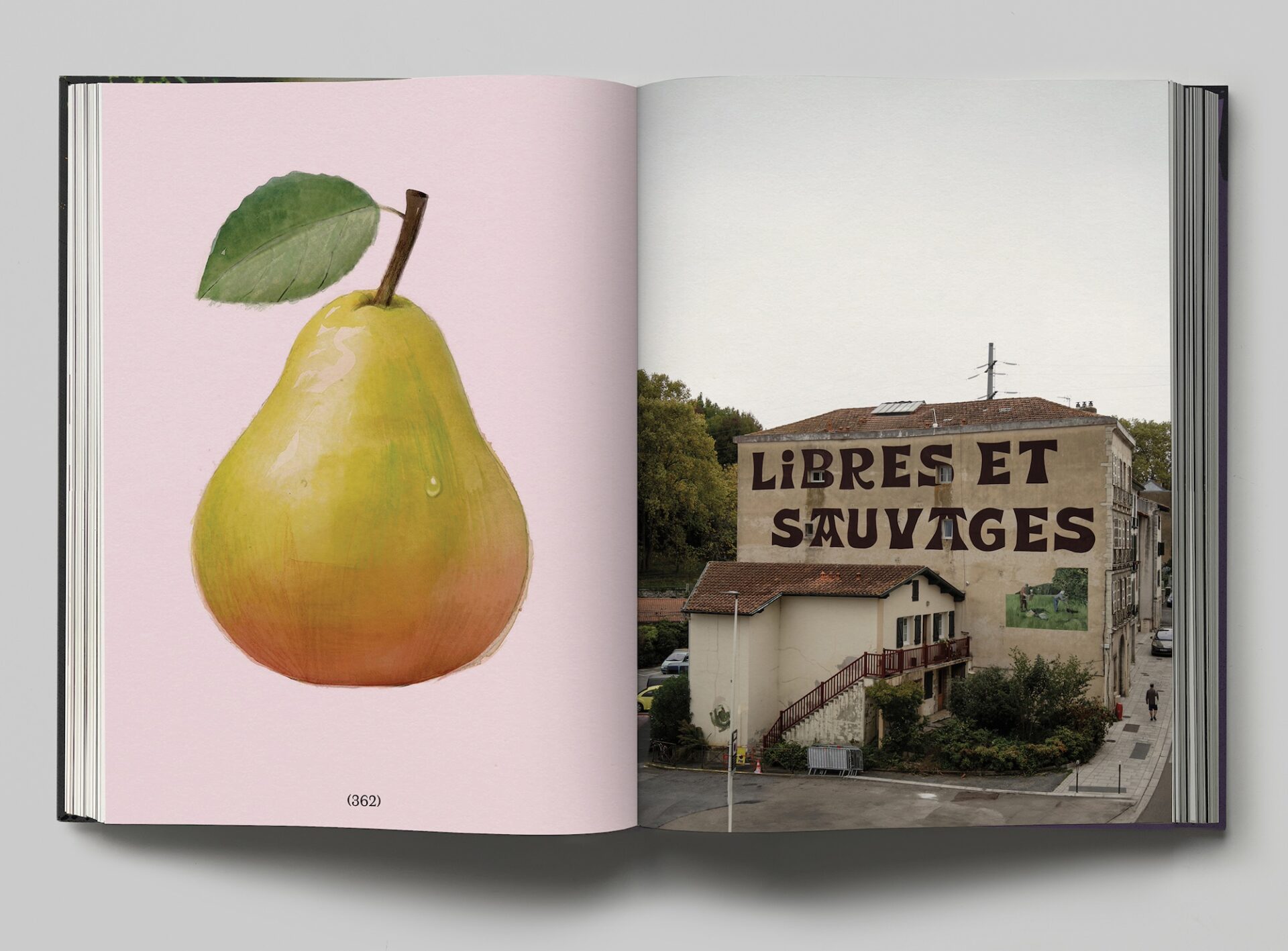 a spread from Escif's forthcoming book, with a painting of a pear on the left and a photograph of a building on the right with a painted sign reading 