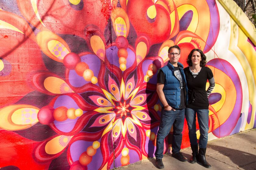 Lea Pinsky and Dustin Harris have been bringing murals to Chicago and Evanston since 2005.