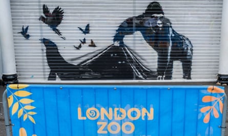 A picture of a gorilla lifting a tarpaulin to release a sea lion, with birds flying overhead, sprayed on a shutter, with a London Zoo barrier in front of it