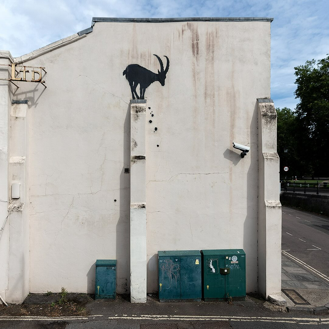 Another piece sees a goat on the side of a building