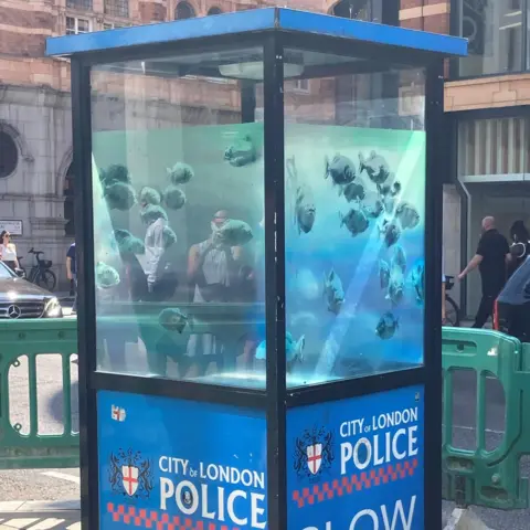 PA piranhas police box