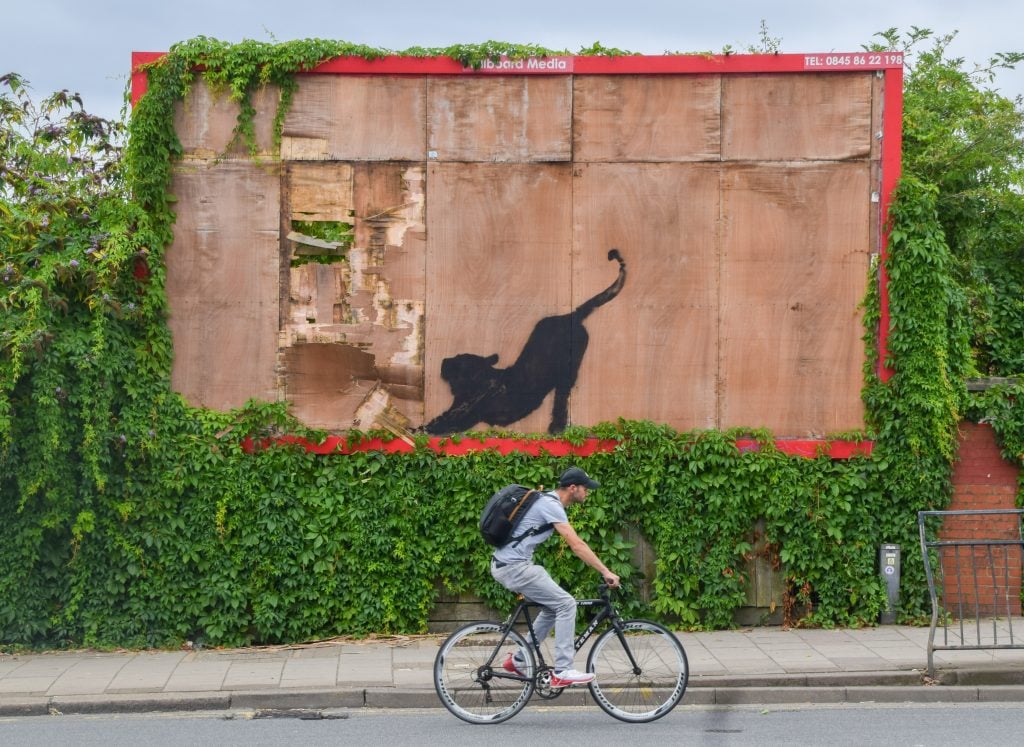 a black silhouette of a cat appearing to stretch on the wooden surface of a disused billboard that is bordered by greenery