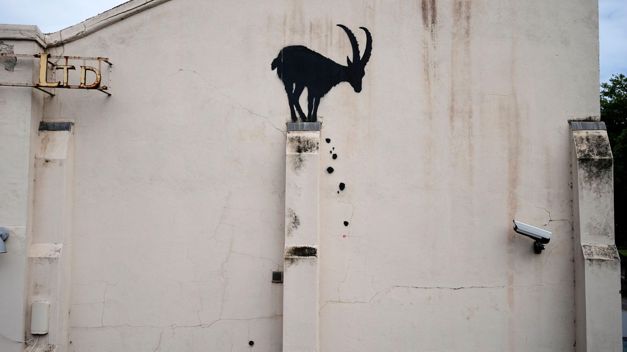 a spray painted goat stands on a ledge