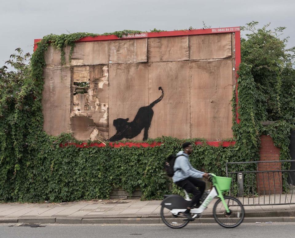The latest edition to the new animal-themed collection in London by the the elusive street artist Banksy (Banksy/PA Wire)