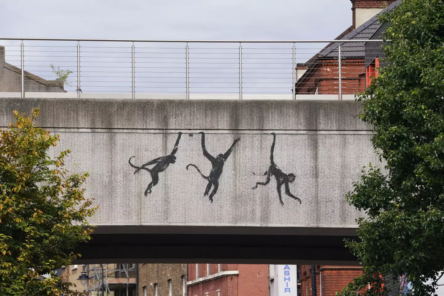 The three monkeys were spotted under a railway line in Brick Lane. (PA)