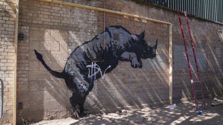 The newly tagged rhino has been put behind a screen. Pic: PA