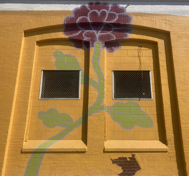 A patch of exposed brick offers an unexpected counterpoint to a purple flower on a building at North 10th and Elm streets.