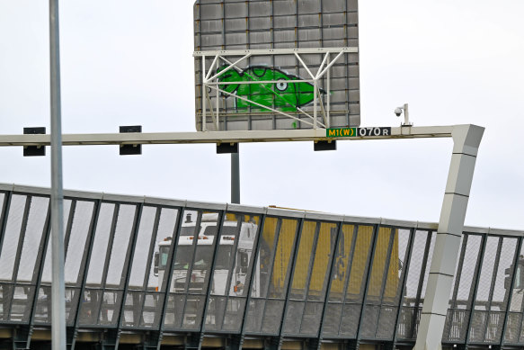 Road signs are a popular location for Pam the bird.