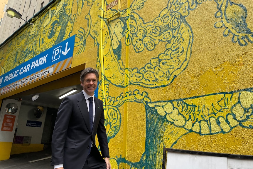 A man standing in front of a street art mural