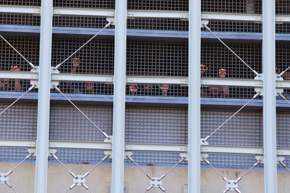 Inmates watched the protest from the jail