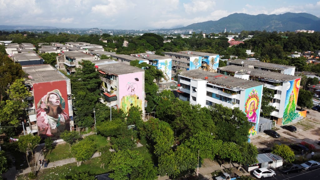 The aim behind the murals in Zacamil is to adorn almost every wall of the bullet-scarred housing complex – home to around 4,000 people – with art over the next two years. Photo: Reuters