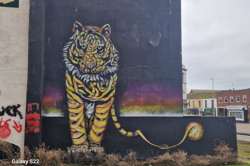 This lovely tiger mural is to be found to the rear of Topping Street in Blackpool.