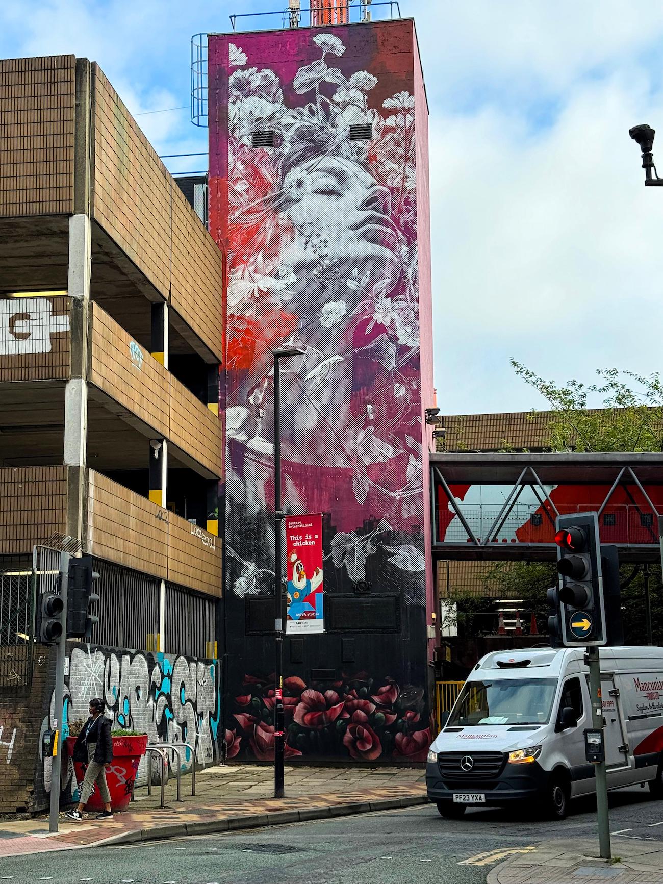 Still Life mural by SNIK