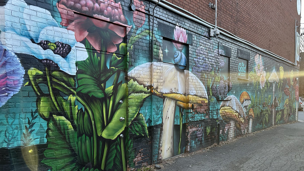 A mural of mushrooms and plants covers The Good Cannabis Companies wall