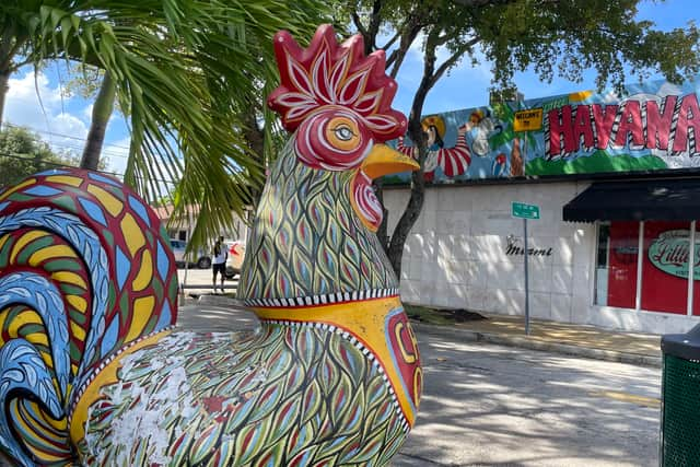 Authentic Cuban cuisine and culture can be found in the Little Havana area of Miami.