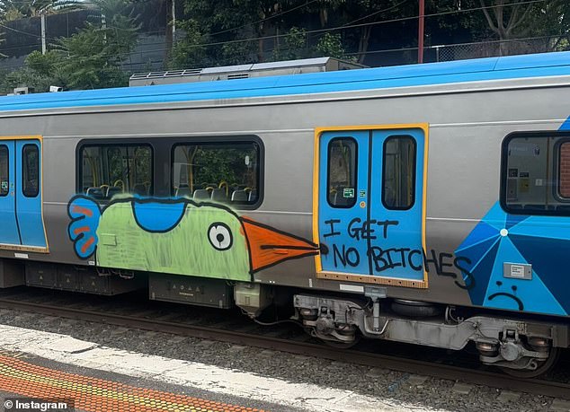 Pam the bird has stained many Melbourne trains