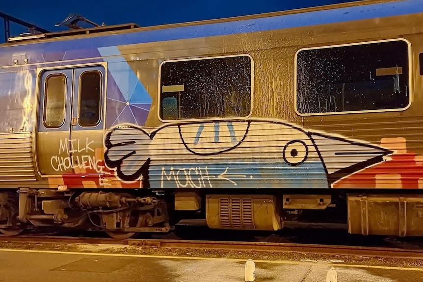 Pam the Bird graffiti on the side of a Melbourne train.