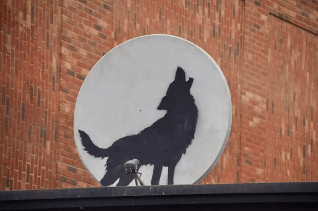 Satellite dish with a wolf silhouette.