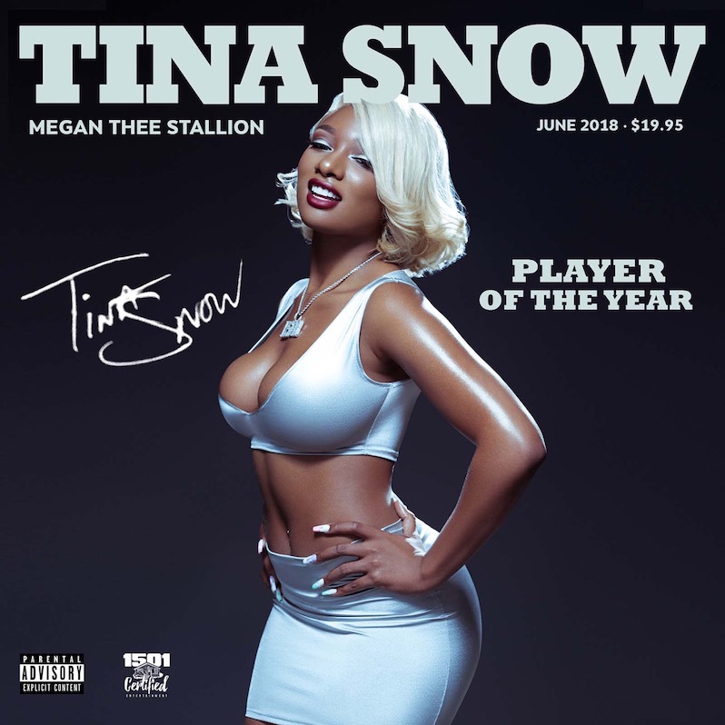 10 of the best Houston rap albums - Megan Thee Stallion