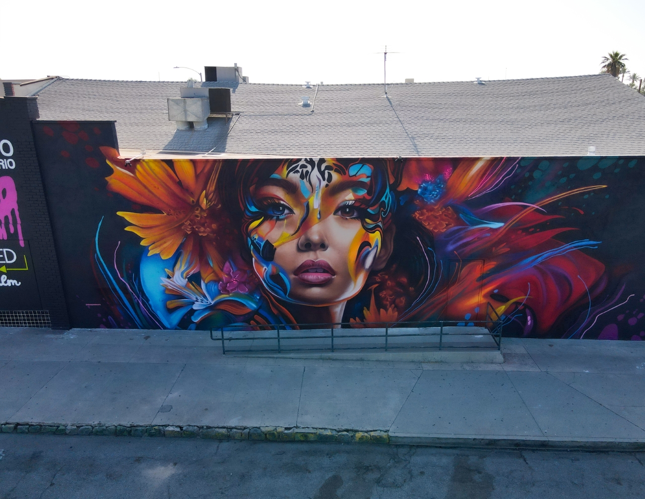 Shane Grammer Mural Art