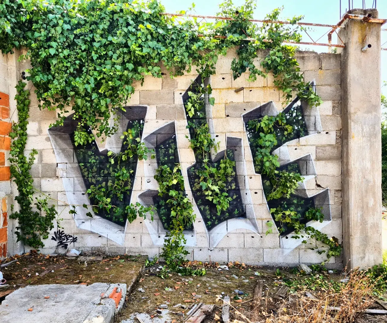 Vile Illusion Graffiti