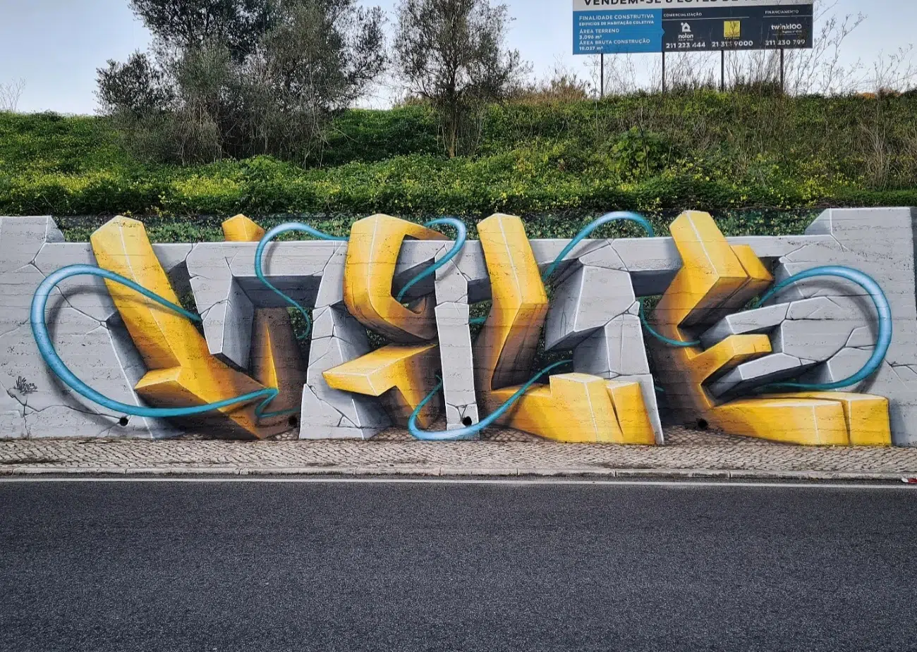 Vile Illusion Graffiti