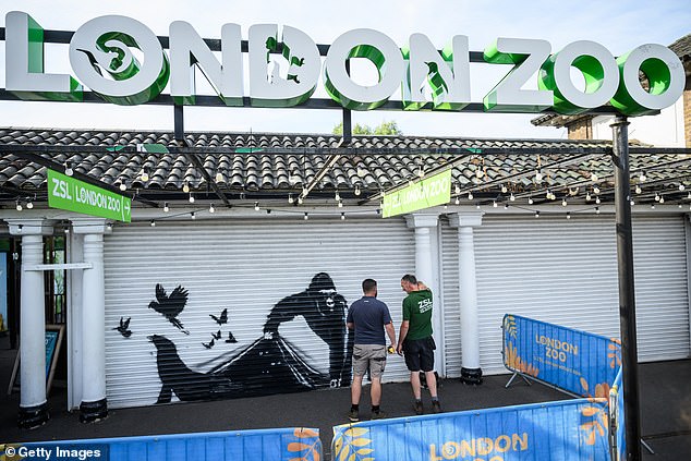 Banksy unveiled nine animal-themed works of art last summer. This was the last one outside London Zoo