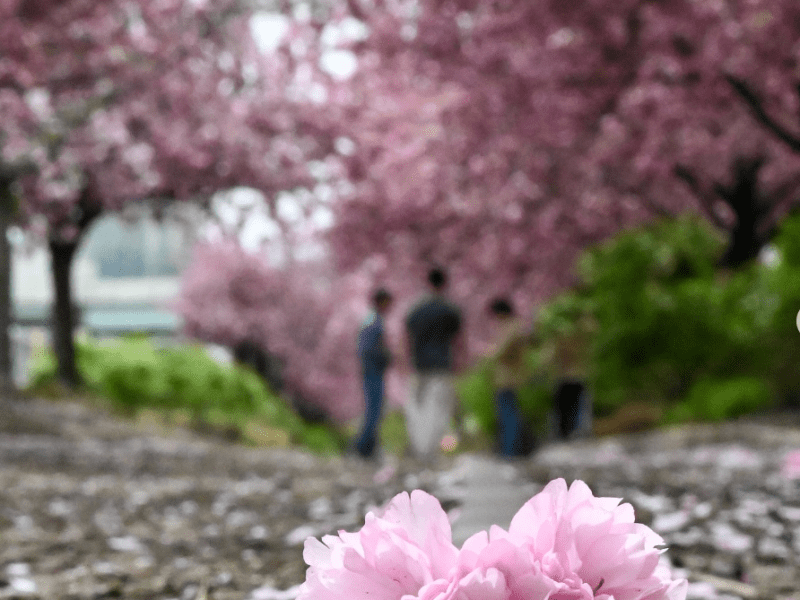 Science project on pause; Wedding stroll; Foster care horror story | Morning roundup