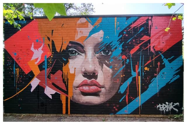 The new mural by Lord Numb and Mig29 has been painted in the alleyway between Coniston Road and Acacia Road in Leamington. Credit: Brink Contemporary Arts.